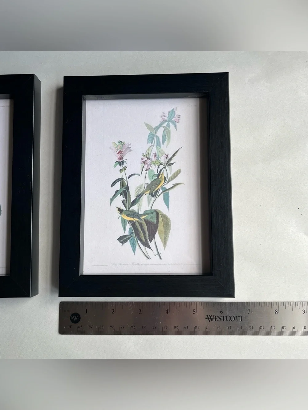 Black Wood Picture Photo Frames w/ Fine Art Prints-Set of 2